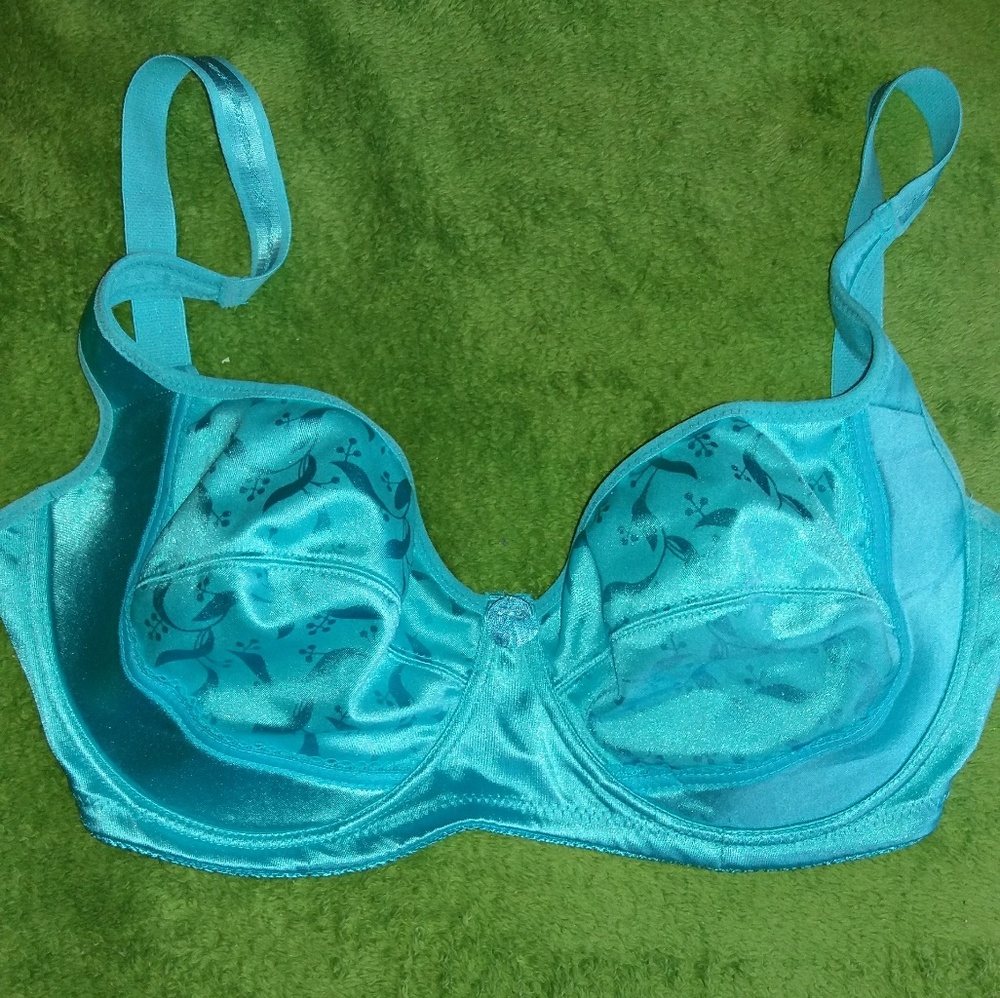 Queen Aqua Blue 40DD Bra Plus Size